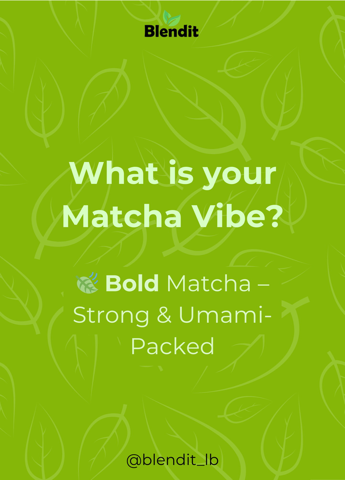 Bold Matcha – Organic Ceremonial Grade (Rich & Bold Flavor) Blendit