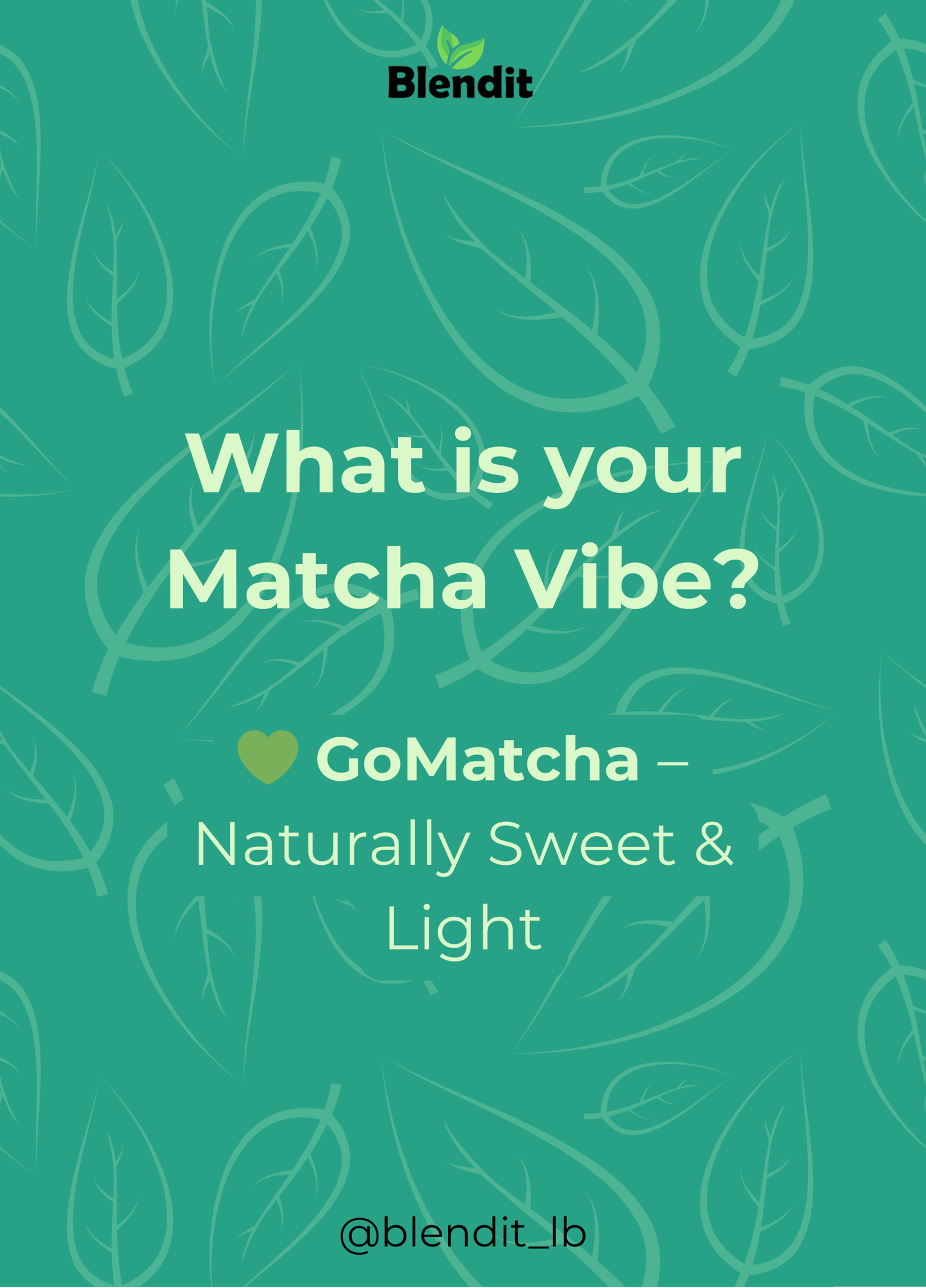GoMatcha – Naturally Sweet Organic Ceremonial Grade Matcha Blendit