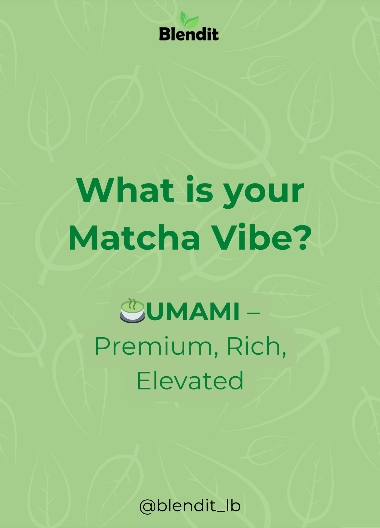 Umami Matcha – Premium Organic Ceremonial Grade from Japan Blendit