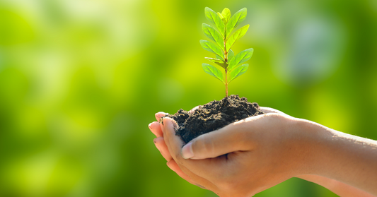 Beyond Taste: Eco Friendly Practices for Sustainable Blending