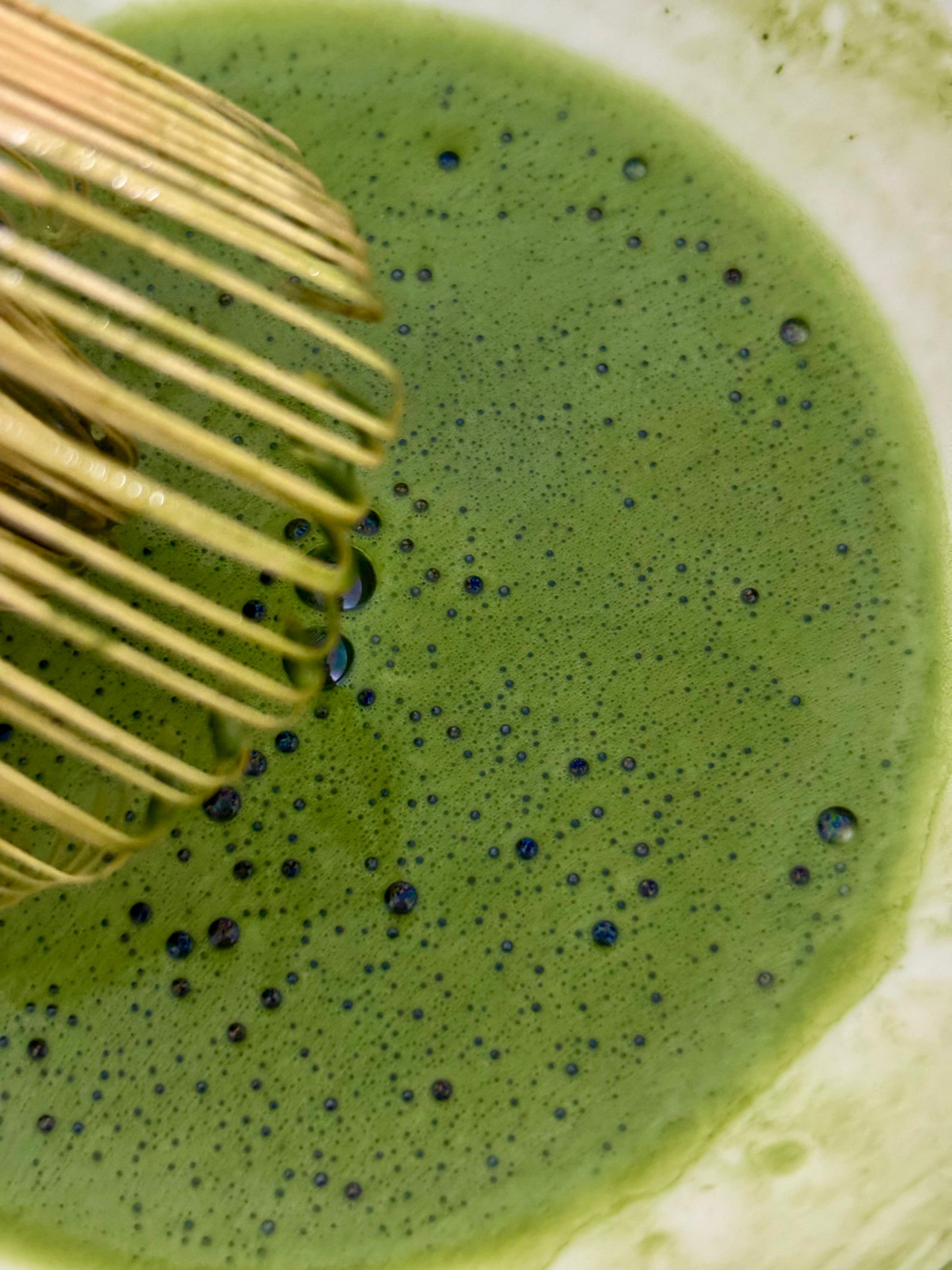 Umami Matcha – 1st Harvest from Japan Organic Ceremonial Grade Blendit